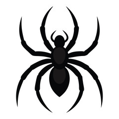 Black Spider Illustration