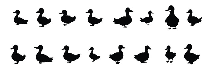 Duck silhouette, on white background, isolated.
