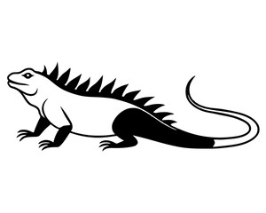 Iguana basking in the sun with a spiky back silhouette



