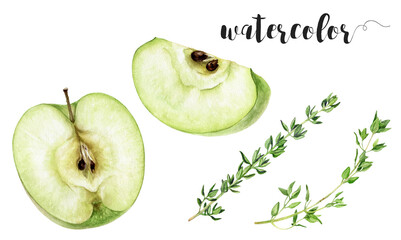 Watercolor Green Apple and Thyme Illustration, Fresh Herbs and Fruits Collection