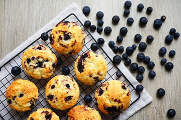 Vanilla muffins with blueberries on metal mesh tray and cotton towel near blueberries on grey background