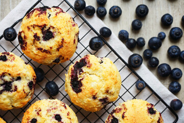 Close-up of vanilla muffins with blueberries on metal mesh tray and cotton towel near blueberries...