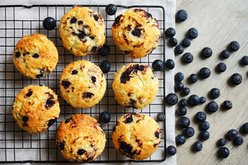 Vanilla muffins with blueberries on metal mesh tray and cotton towel near blueberries on grey background