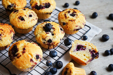 Close-up of vanilla muffins with blueberries on metal mesh tray and cotton towel near blueberries on grey background