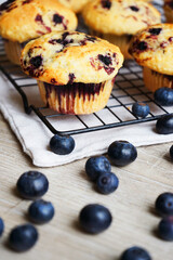 Close-up of vanilla muffins with blueberries on metal mesh tray and cotton towel near blueberries on grey background