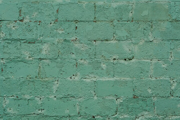 Obraz premium green painted brick wall
