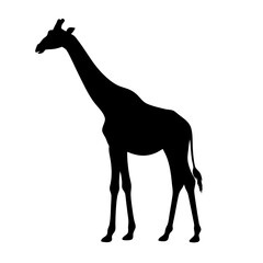 from Minimalist Black Silhouette Collection: Lion, Elephant, Wolf, Leopard, Eagle, Bear, Fox, Rhino, Whale, Cobra, Shark, Crow, Camel, Wild Boar, Dolphin, Deer, Turtle, Owl, Vulture, Cheetah, Buffalo.