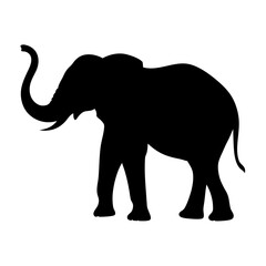 Obraz premium from Minimalist Black Silhouette Collection: Lion, Elephant, Wolf, Leopard, Eagle, Bear, Fox, Rhino, Whale, Cobra, Shark, Crow, Camel, Wild Boar, Dolphin, Deer, Turtle, Owl, Vulture, Cheetah, Buffalo.