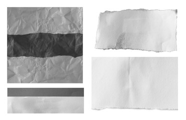 Set of ripped torn paper on white background.