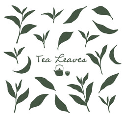 抹茶、緑茶など、日本茶の茶葉のシルエットイラスト