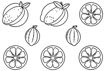 kaffir line art black white herbal plant