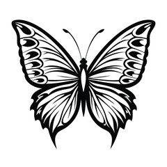 Fototapeta premium Detailed Black and White Butterfly with Intricate Wing Patterns on Isolated Background