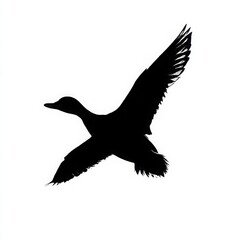Obraz premium A silhouette of a duck in flight
