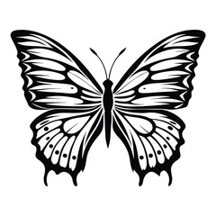 Butterfly Outline Design Symmetrical Insect with Black and White Wings Pattern