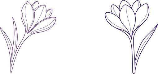 Two Prayer Rugs In Simple Line Art Style With Traditional Islamic Design