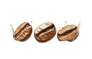 Explosion splash of ground coffee on a transparent background