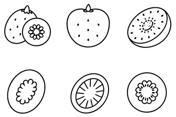 kiwi berry line art creative minimalist fruit illustration
