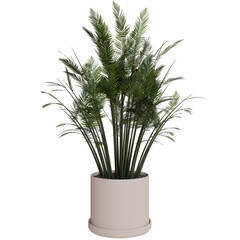 A lush indoor plant in a neutral-toned pot