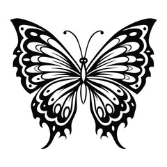 Detailed Butterfly with Open Wings, Intricate Black and White Pattern on Clear Background