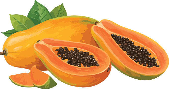 ripe papaya fruit, orange, green leaves clip art preview