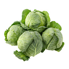 Fototapeta premium Cabbage pile png
