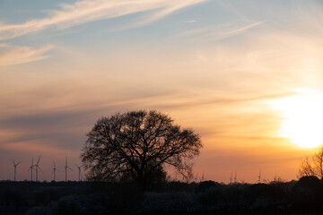 Sonne und Wind - Sonnenuntergang über einem Feld voller Windräder