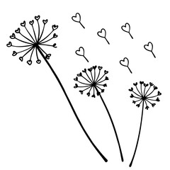 Dandelion seeds flying as tiny hearts line art vector
