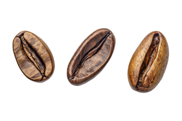 Coffee powder mix bean fly explosion, Coffee crushed mix seed float explode, abstract cloud fly. Coffee dust powder bean splash throwing in Air. White background Isolated high speed shutter, freeze