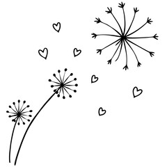 Dandelion seeds flying as tiny hearts line art vector