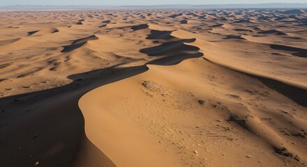 Sand Dunes Landscape Aerial View in Desert Environment