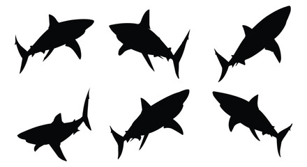 Collection of shark silhouette vector illustration on white background