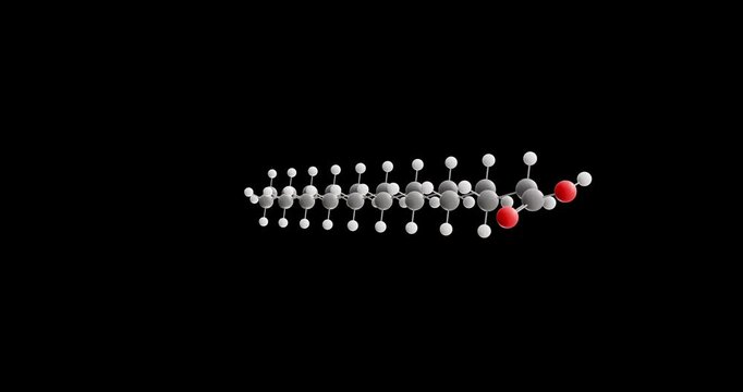 Arachidic acid molecule, rotating 3D model of saturated fatty acid, looped video on a black background
