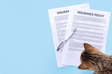 Obraz premium Pet health life Insurance, medical coverage concept. Insurance contract with cat paw signature and cute striped tabby cat. Flat lay mock-up for cats and dogs for insurance agency, medical services