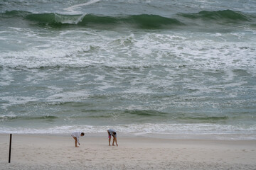 couple collecting shells on the beach