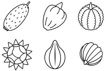 marang line art artistic interpretation of natural elements