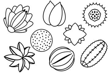 marang line art harmonious blend of lines and curves