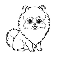 Pomerian dog illustration. Drawing. Coloring book. Black and white