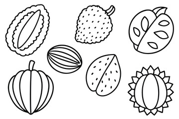 marang line art timeless and sophisticated artwork concept