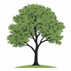 Obraz premium Vibrant Green Tree Silhouette. Idyllic Nature and Woodland Landscape Design