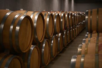 Wooden wine barrels in the cellar of the winery