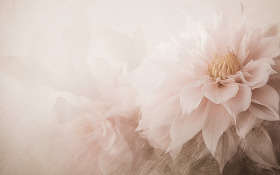 pink flower background