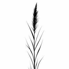 Fototapeta premium Elegant Black and White Silhouette Illustration of Pampas Grass - Botanical Minimalistic Design for Eco-Friendly Home Decor