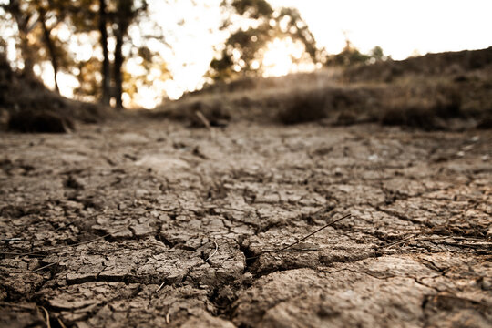 Dry cracked earth and mud in dried up farm dam