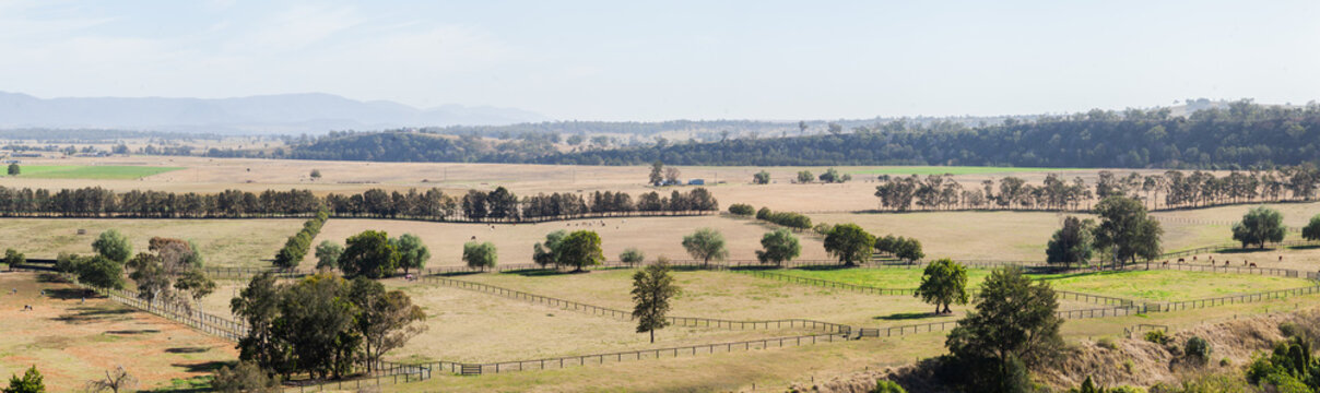 View of horse stud farm paddocks