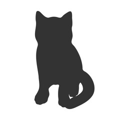 Kitten silhouette isolated on white background. Sitting cat silhouette. Feline shadow. Vector illustration