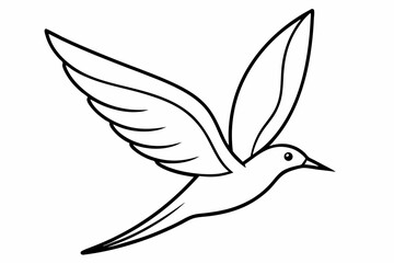 bird in flight outline vector illustration with white background
