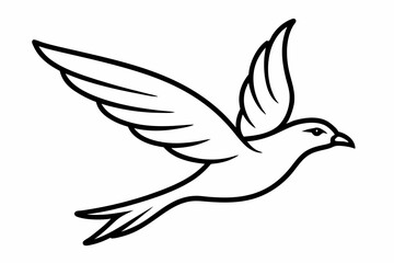 bird in flight outline vector illustration with white background