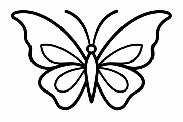 butterfly outline vector illustration with white background