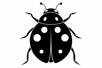 ladybug silhouette vector illustration black and white