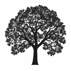 Fototapeta premium Black Silhouette of Oak Tree Vector. Eco-Friendly Nature Illustration in Woodland Foliage Art